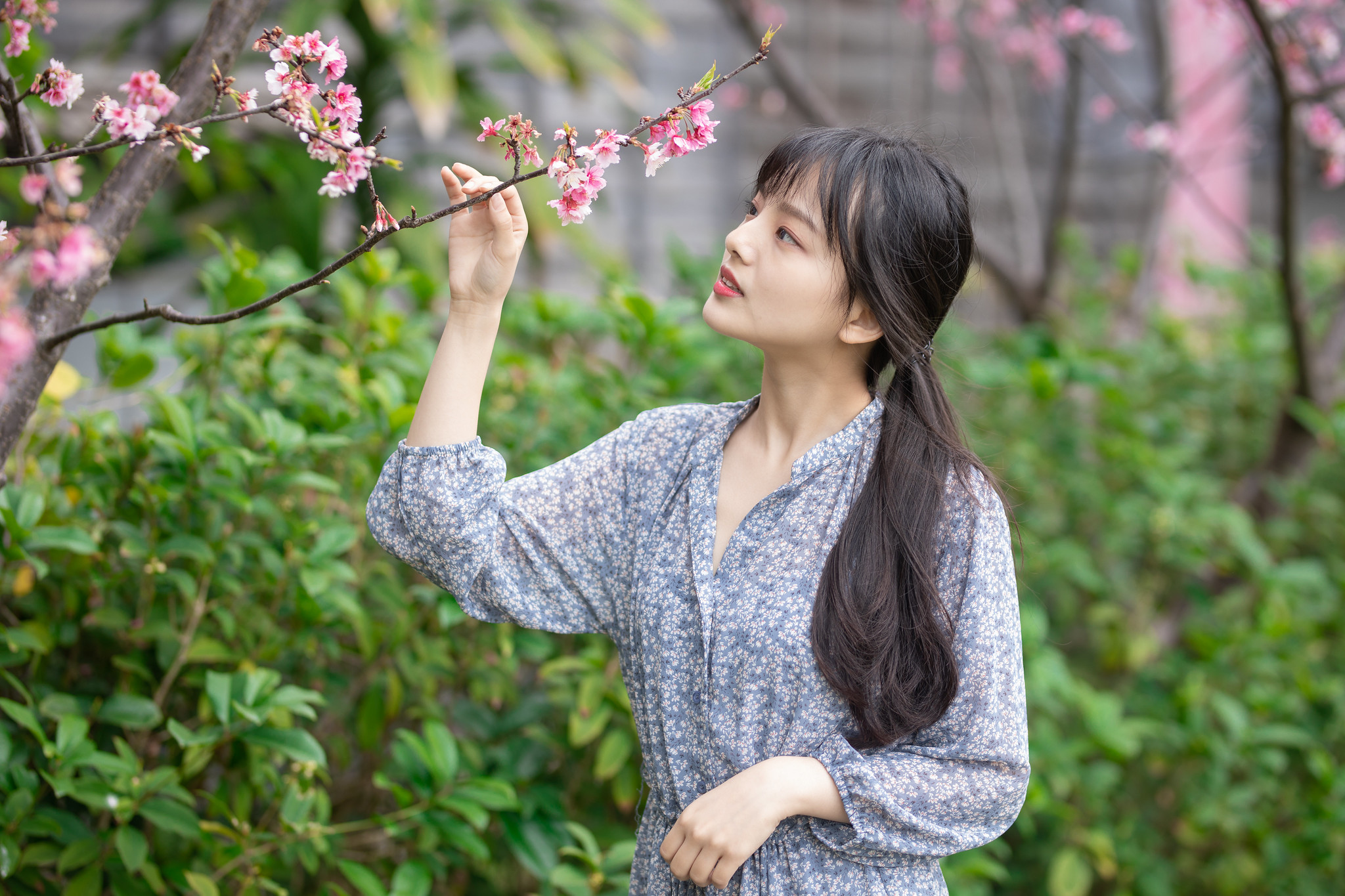 邻家女孩郑宇岑