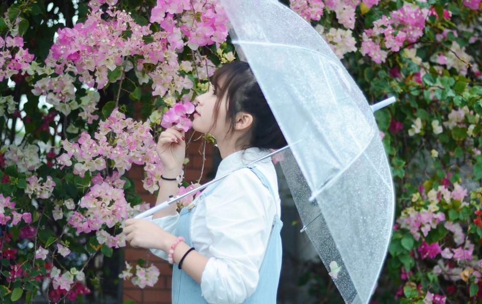 初夏雨后的清新时光写真