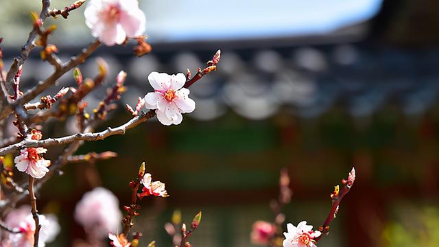 雷姓全集：10个品貌非凡的宝宝名，个个都富有韵味