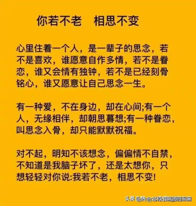 什么是老婆，女人的一生有多难？这是我见过最好的回答；细品