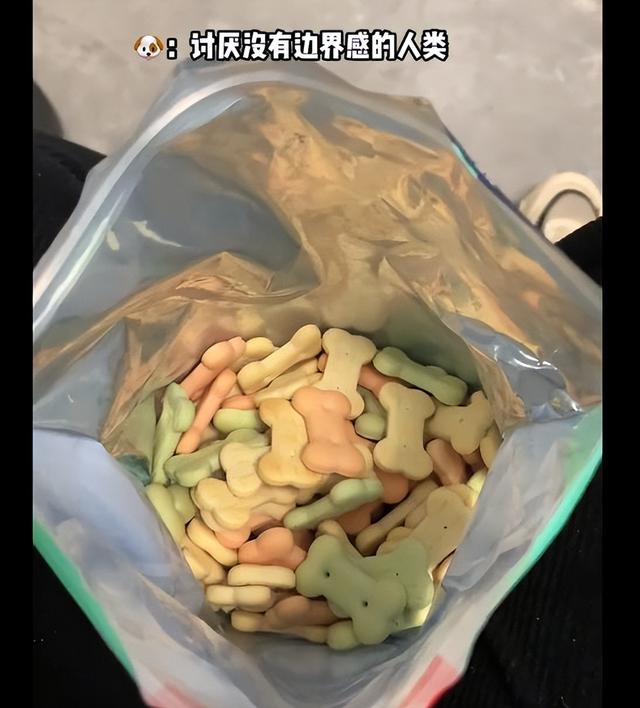 女子吃零食狗子一直盯着自己，低头看后语塞了：我真不是故意的