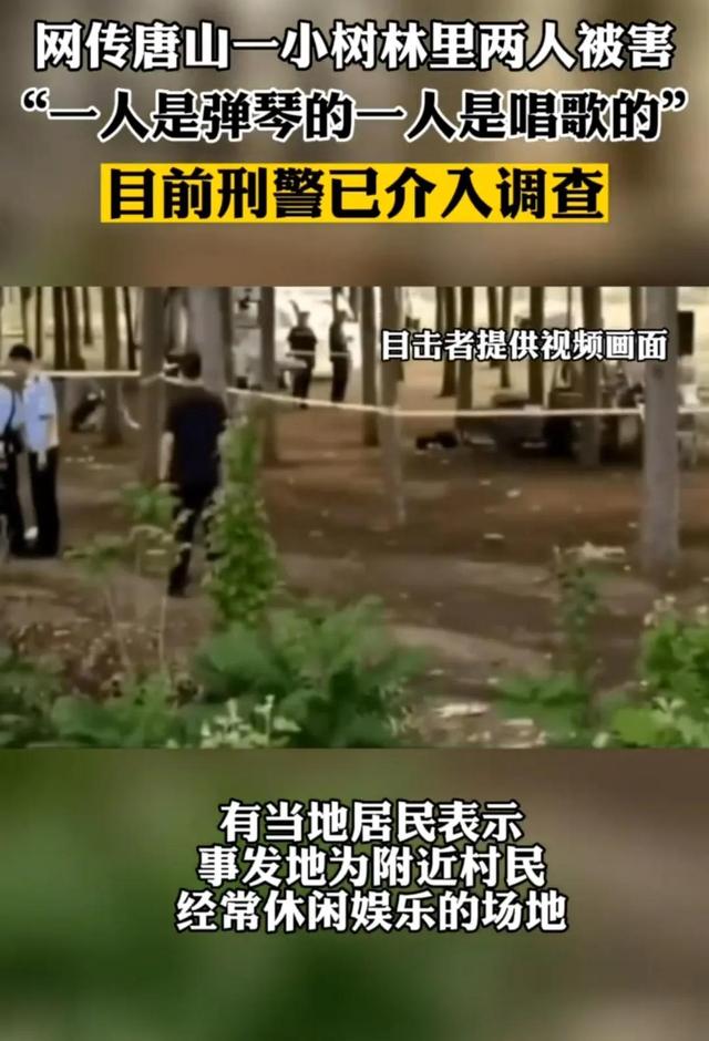 唐山又出现小树林事件，两人遇害