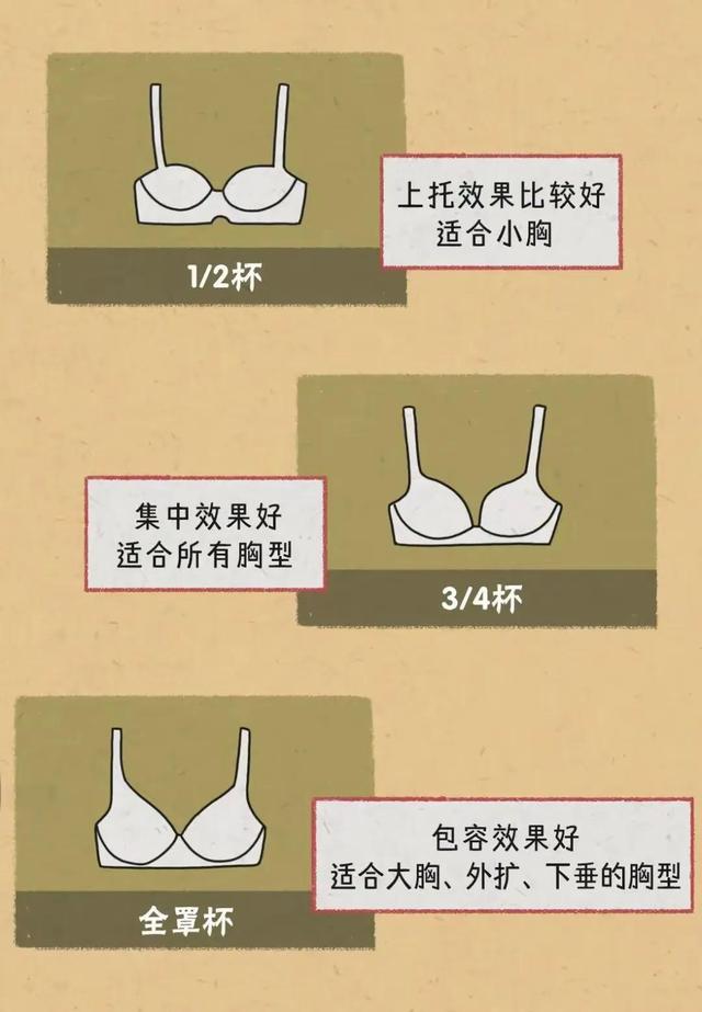 胸部的形状，可以分为几种？女人如何正确计算自己的罩杯？