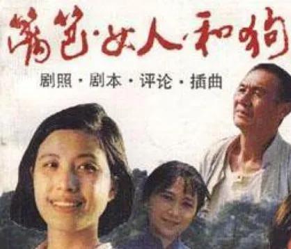 1989-2000年讲述乡村故事的经典电视剧