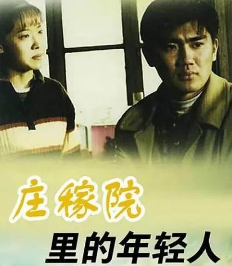 1989-2000年讲述乡村故事的经典电视剧