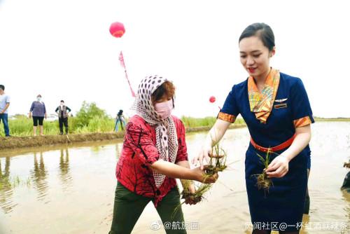 身着靓丽制服的青航空姐空少下地插秧，你怎么看？