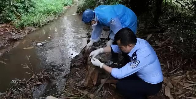 11名女子被杀害，凶手竟然割去女子隐私部位，进行强奸！太可恶了