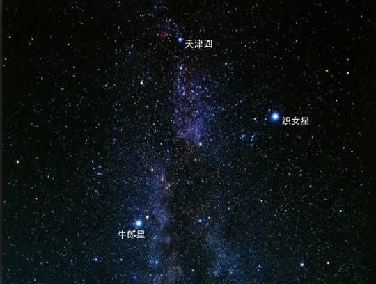 北极星并非指某颗恒星，织女星未来会成为北极星，但它是身不由己